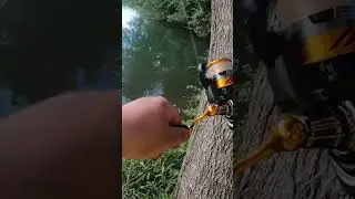 Ultralight fishing with worms