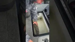 Физинг это необходимо делать иначе рыба не выживет и умрет!