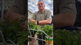 Expert Marriage Tip The Wife Wants Flowers