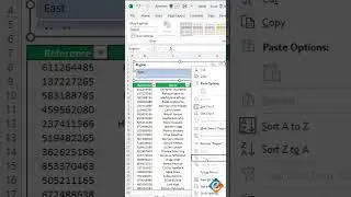 📊🔍 Excel Slicer: Enhancing Data Visualization and Filtering 