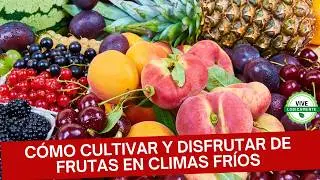 Frutas Nutritivas que Aman el Frío: ¡Beneficios y Sorpresas!