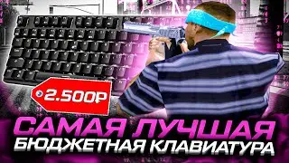 ЭТО САМАЯ ЛУЧШАЯ БЮДЖЕТНАЯ КЛАВИАТУРА ДЛЯ КАПТОВ HEXGEARS GK707  EVOLVE RP GTA SAMP