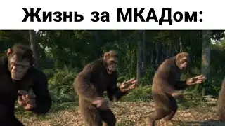 Вся остальная планета по мнению москвичей: