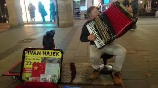 Ivan Hajek Pop-Akkordeon Munich Live November 2018