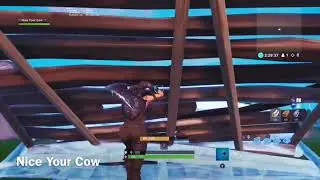 I joined the Nice Your clan! (Nice Your Cow)