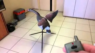 Гусь LuckuDuck