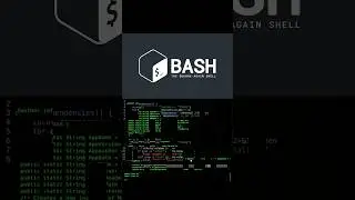 How to write a bash script on #linux?