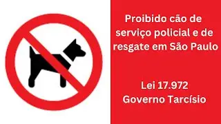 Decretado o fim dos cães de serviço em São Paulo - Lei de Tarcísio