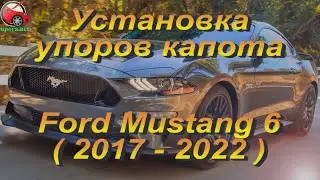 Установка упоров / амортизаторов капота на Ford Mustang 6 rest от upora.net
