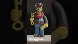 NIFTY FIFTY  | CANON RF 50MM f/1.8 STM 