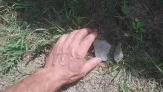 О росте цен на лом черных металлов.