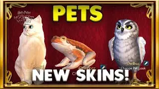 NEW PET SKINS!!! - HARRY POTTER: HOGWARTS MYSTERY