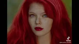 Pt 6(3/3)