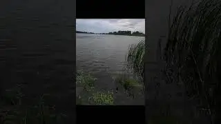 #спининг #fishing #рыбалка #щучка #shortvideo