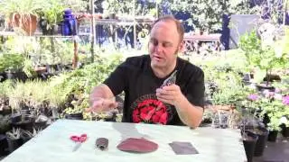 How to Sharpen Pruning Shears 1/7