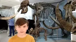 Новосибирский государственный краеведческий музей Музей природы