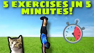 5 HANDSTAND EXERSICES IN 5 MINUTES! | how to handstand for beginners