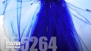 Prom 2014 Dresses: Precious Formals Style C55264