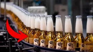 🍺 ¿CÓMO se FABRICA la cerveza CORONA? 🍻🤔