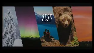 2025 - Year Recap