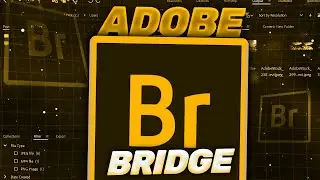 Adobe Bridge 2026 Crack | How To Download and Install | Full Version