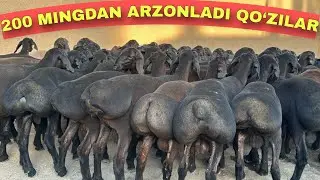 QO‘ZI OLEDIGON PAYIT KELDI NARXLAR TUSHDI SHOSHILING