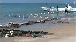 THE BEST FISHING FISHERMAN 🐠 AUTOMATIC LONG NET FISHING AND  TRADITIONAL MARINE NETS IN UAE 🇦🇪.