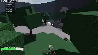 Blox fruits with my friend