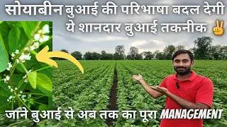 सोयाबीन🌱बुआई नया तरीका, वैज्ञानिको को भी खूब पसंद आया✌️| basel dose, spray, fertigation | #soyabean