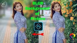 How to Blur Background of Picture 