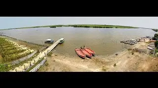 Pichavaram Mangrove Forest India's Second Largest Mangrove Forest