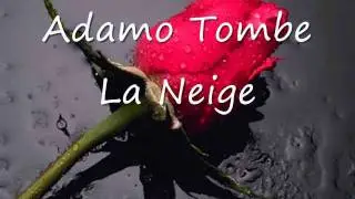 Adamo_Tombe_la_neige.wmv