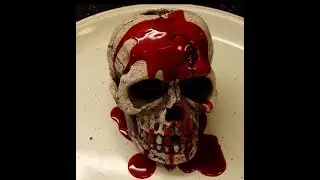 BLOODY SKULL PROJECT