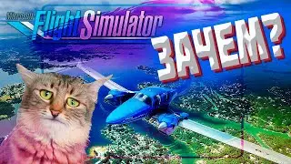 Microsoft Flight Simulator Мнение об игре