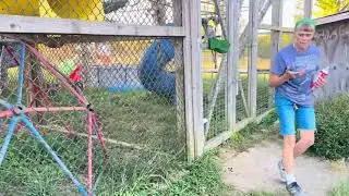 Handing out treats to the Java Macaques