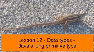 Lesson 12   Data types   Java's long primitive type