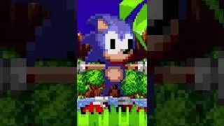 AVOID THIS SONIC GAME