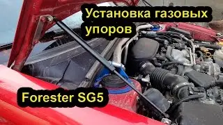 subaru forester sg5 Hood Damper