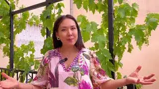 ПРАКТИКА «ЗДЕСЬ И СЕЙЧАС» ВЫВЕДЕТ ИЗ ТРЕВОЖНЫХ МЫСЛЕЙ И ПОДНИМЕТ ЭНЕРГИЮ