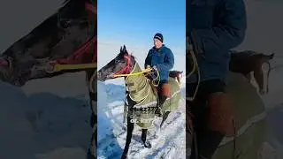 ат бәйге🏇 