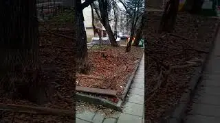 Хвани ме,ако можеш!😄Catch Me If You can! 