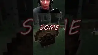 This Is How I Treat Turkeys In Minecraft