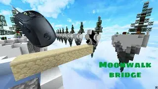Learning how to moonwalk bridge with my new mouse!
