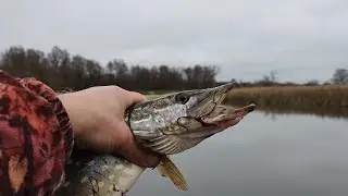 Рибалка вихідного дня 🐟 Берегами річки Івотка 🌊 Ямпіль.
