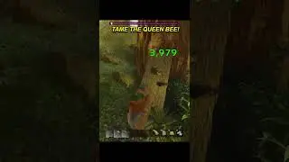 TAME your own QUEEN BEE! Giant Bee HONEY 