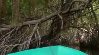 Sri Lanka part 6 (Bentota)
