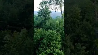 Eh.. #drone #dji #anything