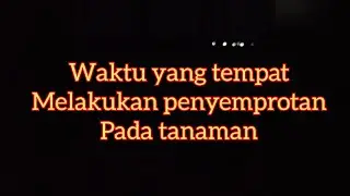 wajib tahu || waktu yang tepat penyemprotan pada tanaman