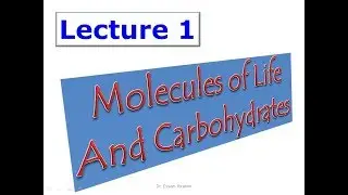 01 Macromolecules and Carbohydrates علوم صحية