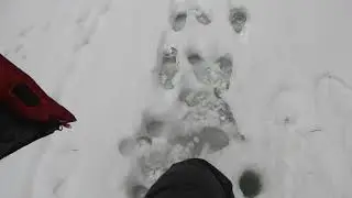 Хариус,переселение душ и разрушение мифов.